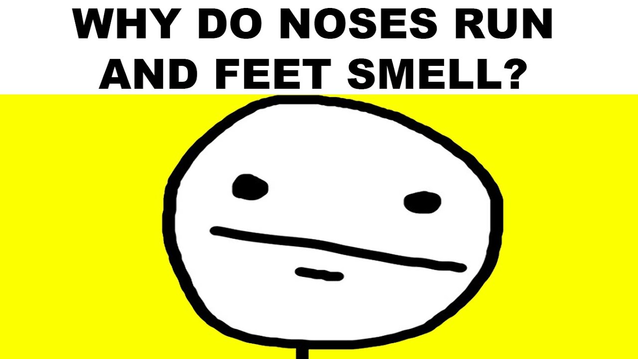 Memes That Make No Sense - YouTube