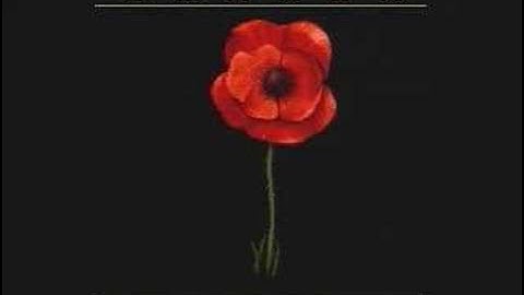 Synchaoz - Cannon Fodder [Lost in Service Remix]