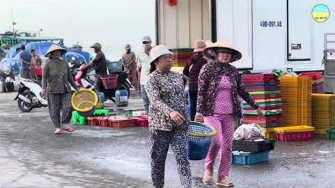 Cảng cá Phan Rí nhộn nhịp cá về, bà con tập trung đông đảo.