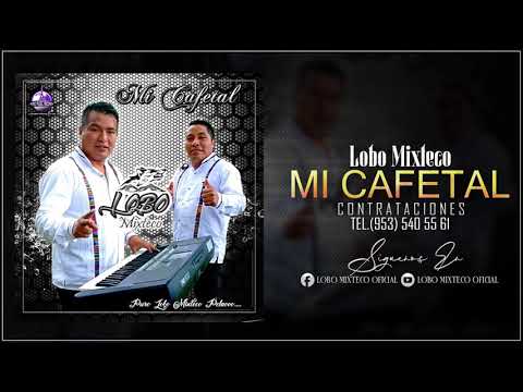 Lobo Mixteco - Mi Cafetal - Produccion 2021