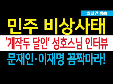 호국투승 &#39;금강철퇴&#39; 성호스님 인터뷰! 동에 번쩍, 서에 번쩍, 개작두 번쩍! 민주 기겁, 문재인·이재명 이제 큰일났다!!