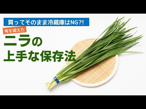 Is it bad to buy chives and put them in the refrigerator?! The best way to store chives