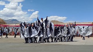 First Black necked crane festival of Ladakh begins