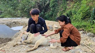 Quang Lanh Went To Pick Bananas To Sell Then Returned Home And Tore Down The Brick Wall Of The Pond