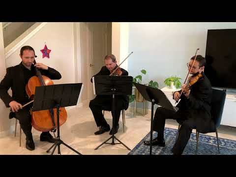 Sunset Strings' string trio performs Still D.R.E.