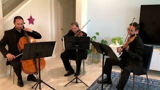 Sunset Strings' string trio performs Still D.R.E.