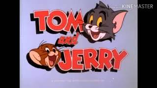 tom and jerry incredible shrinking cat