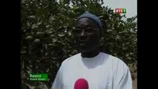 Serigne Ahmadou MBacké - MBoro 1 (Reeni Koom Koom)