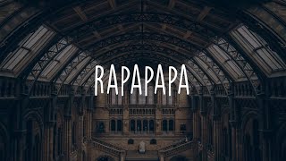 Download lagu 88rising, Rich Brian ft. RZA - Rapapapa (Lyric Video)