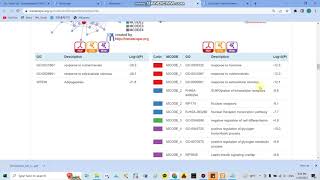 Metascape: biological process, pathway, protein protein interaction, transcription factor (part 2)