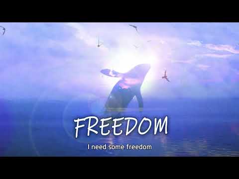 【红花会】FREEDOM | 贝贝 x Mai x 啊之 （Lyric Video）