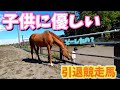放牧中の引退競走馬が小さな子供を見つけてそっと寄り添う姿が可愛すぎました…。【ツルマルボーイ様のシモベ】