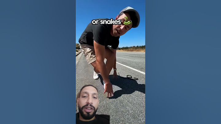 Turtles or Snakes- Which Do Cars Swerve to Hit More?