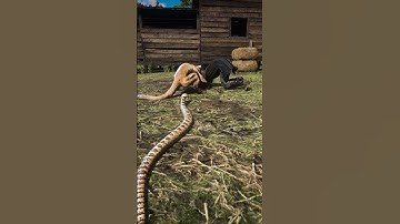 Part 28 Learn great survival skills , #shorts