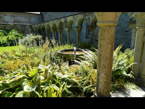 वीडियो: मध्यकालीन हर्ब गार्डन के बारे में जानें