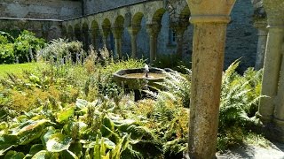 Medieval Monks Garden, Abbaye De Daoulas, France