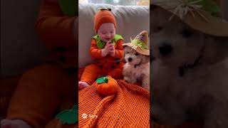 Practicing For The Halloween Parade Babies&Barks