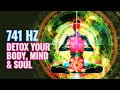 Detox Your Body, Mind & Soul: 741 Hz Removes Toxins, Negativity, Cleanse Aura, Binaural Beats