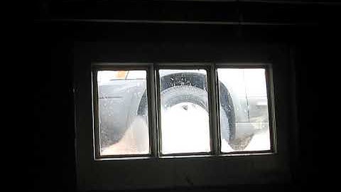 Stupid Robin hitting window