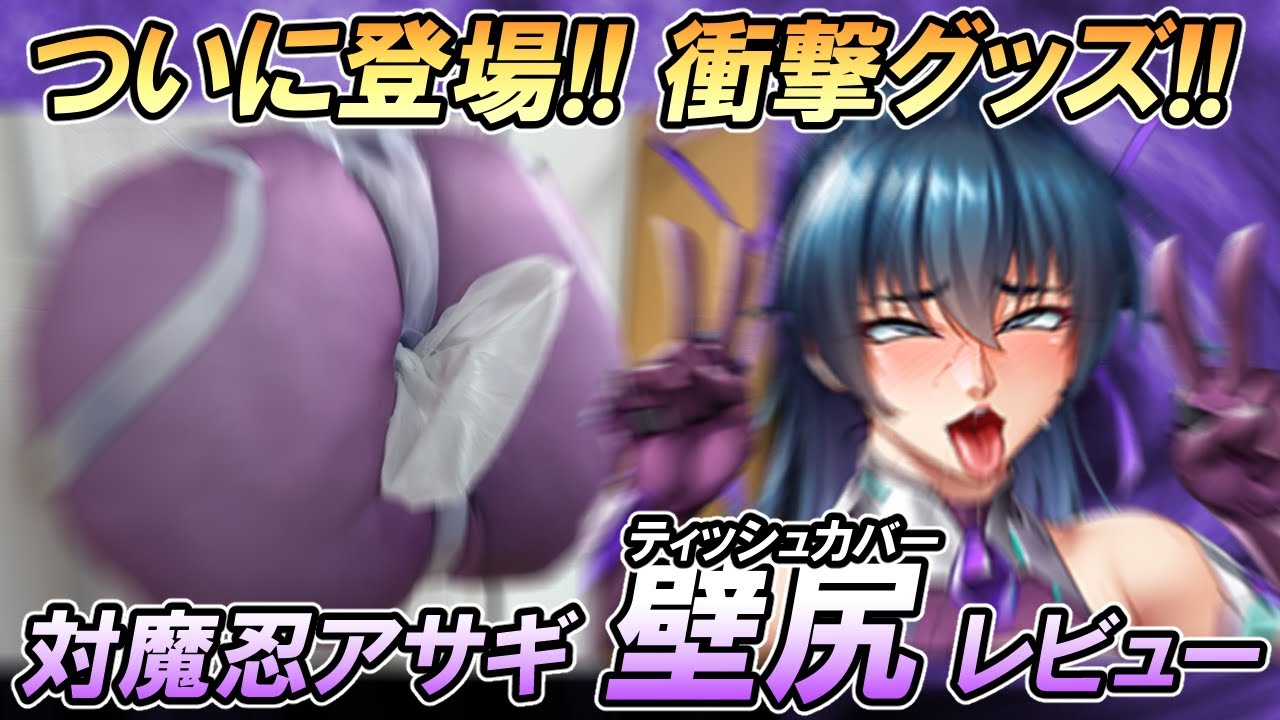 【神回】ついにあの禁断の商品が届いたので開封ガチレビューする世界初の動画【対魔忍 井河アサギ 壁尻ティッシュカバー】