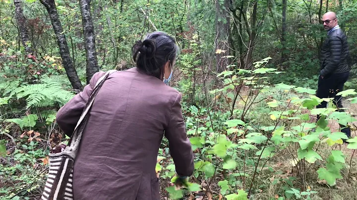 free the fern - Indigenous Plant Walk with Lori Sn...