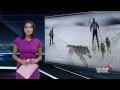 Skijoring catching Canada
