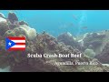 Scuba Dive Crash Boat Reef in Aguadilla, Puerto Rico