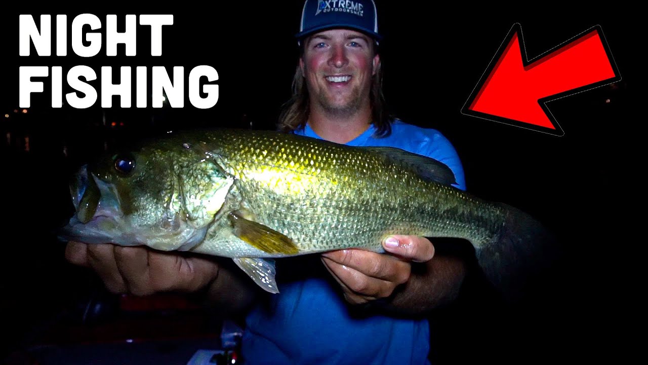 Night Bass Fishing Tips And Strategies For Big Largemouth Bass