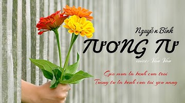 [audio] Phân tích bài thơ Tương Tư của nhà thơ Nguyễn Bính - giọng đọc Tuệ Ngọc Vân Vân