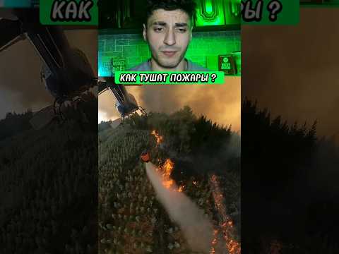 Как тушат лесные пожары? 😲