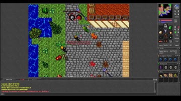 Old Tibia - 2 MS Pking in AB & Carlin until Double BAN (Eternia 2005 7.4)