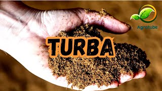 Turba, Que Es La Turba, Tipos De Turba, Usos De La Turba