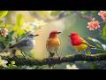 Relaxing Piano &amp; Bird Sounds | Peaceful Nature Sounds for Stress Relief