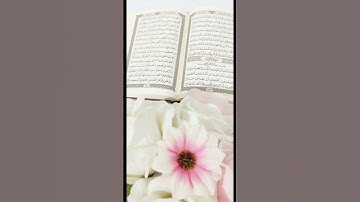 تذكير الجمعة:🌸 سورة الكهف نور بين الجمعتين