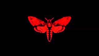 Lil Wayne - Gun Walk Ft Gudda Gudda