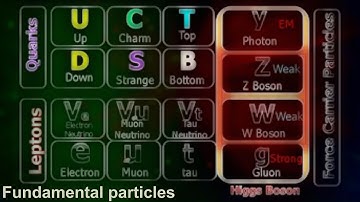 Intro to particle physics and the Standard Model