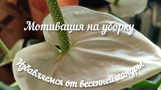 Мотивация на уборку. Избавляемся от весенней хандры.