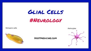 Glial Cells \/\/ Neurology