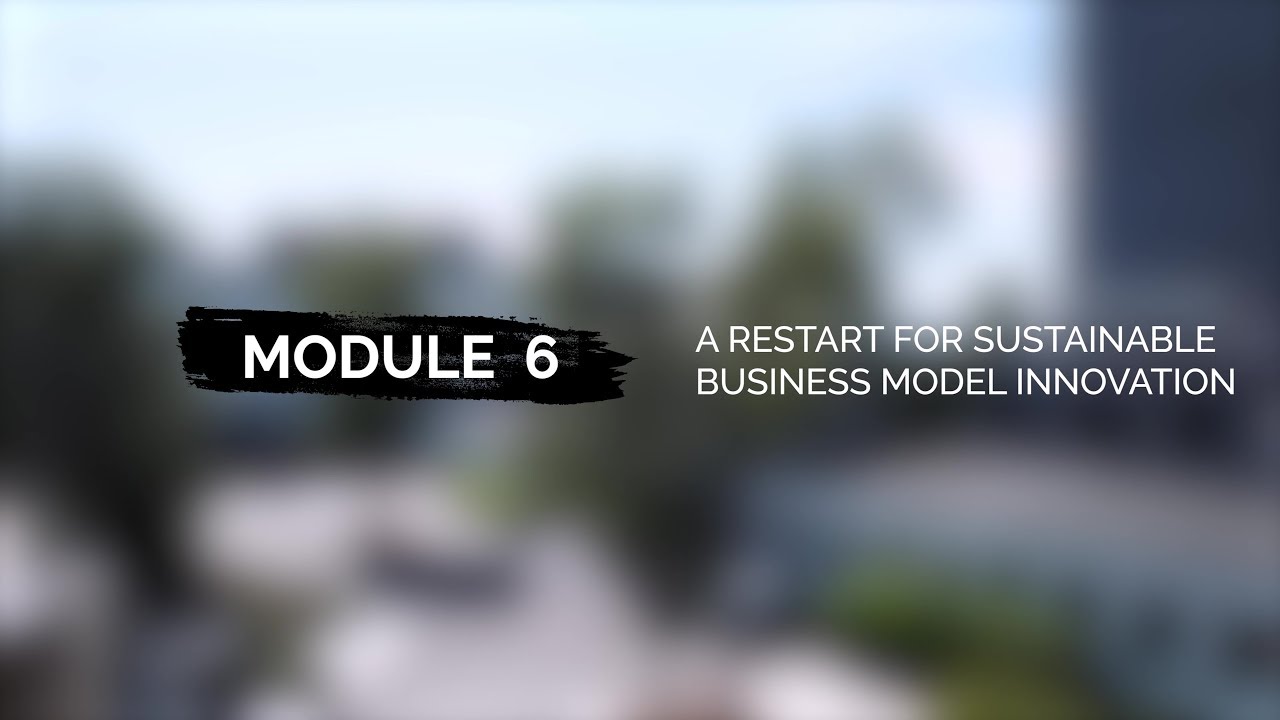 Module 6 Video 2 - A Restart for Sustainable Business Model Innovation