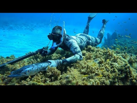 Jamaica's 🇯🇲 Best Tasting Fish Being Hunted In Beautiful Clear Waters/ Rare Fish Was Speared As Well