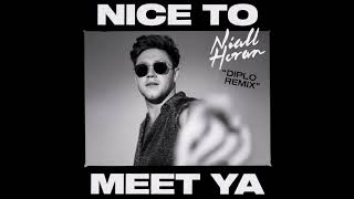 Niall Horan, Diplo - Nice To Meet Ya (Diplo Remix)