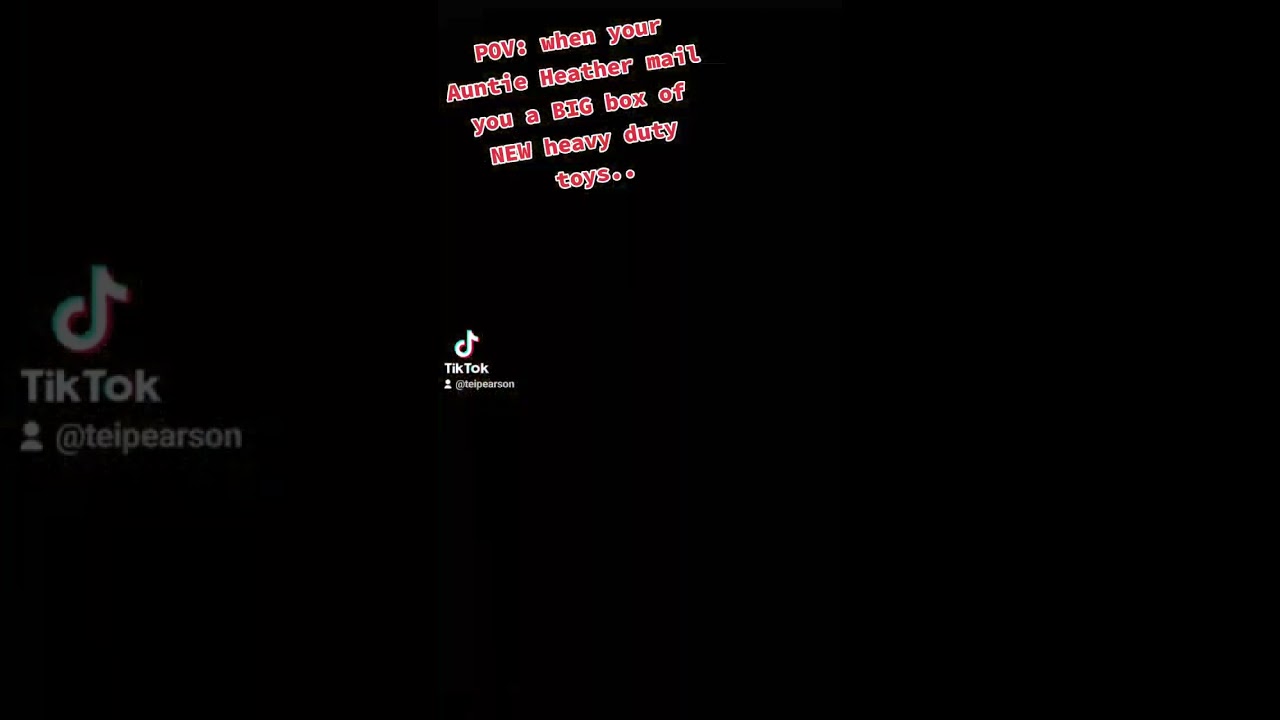 Sir Leo had destroyed all of his Kong toys 