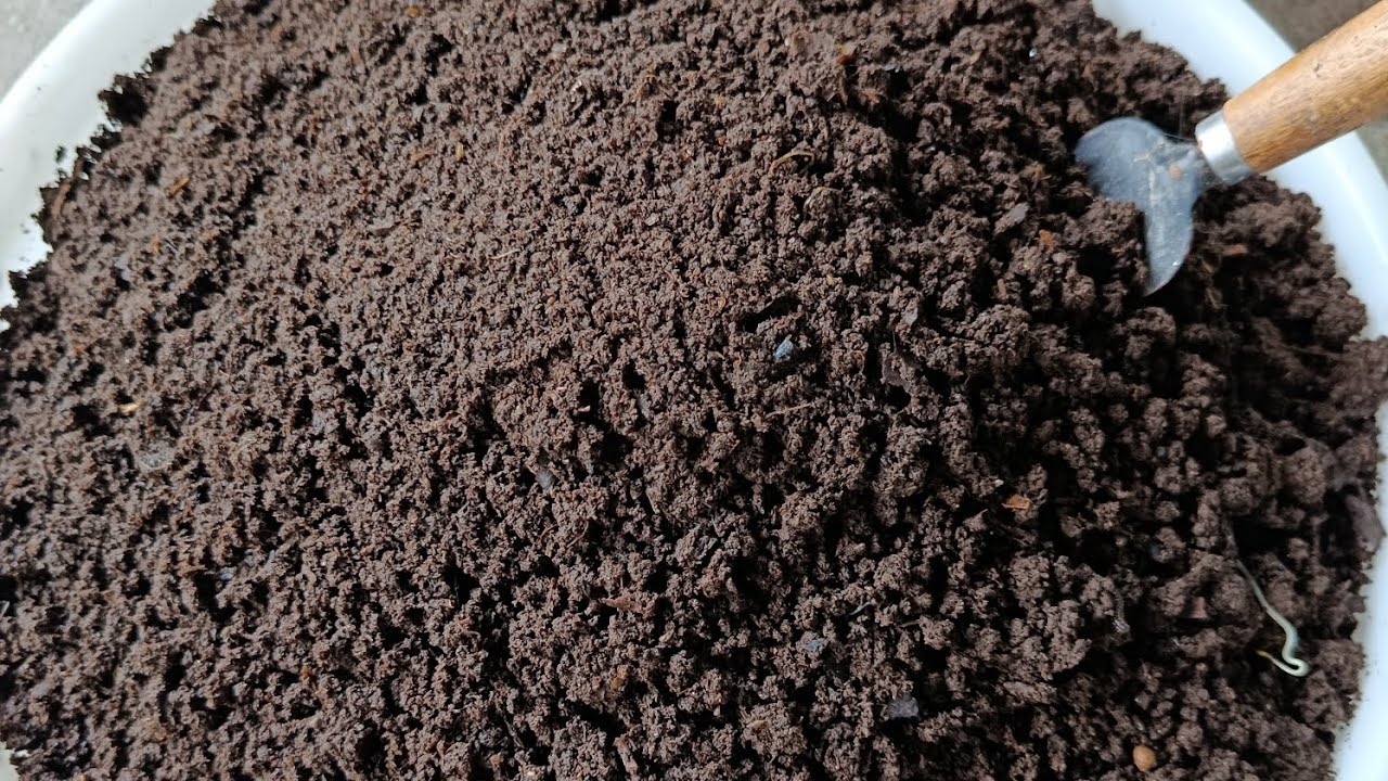 One of the best organic compost! vermicompost🥰👌