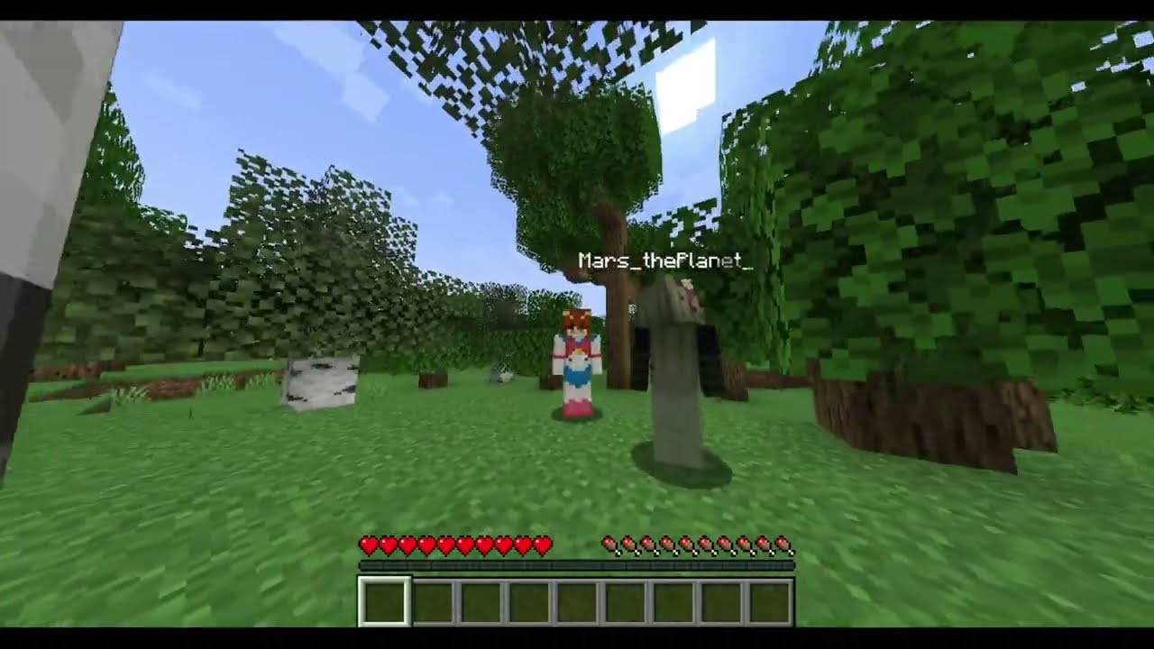 New Beginnings | Meow SMP 1