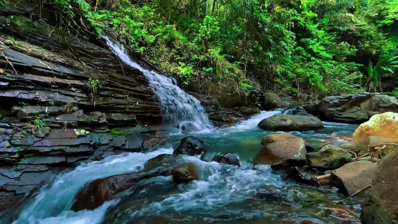 Waterfall Sounds for Sleeping, River Sounds for relaxation, Water Sounds for stress relief #1