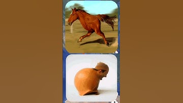 Snail Vs Horse caught on Google Maps 😱🌎 | #ddgoogleearth #earth616 #googlemaps #shots #mapguide #map