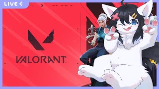 【Twitch同時配信】今日の、ヴぁ。