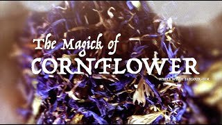 The Magick of Cornflower ~ The White Witch Parlour