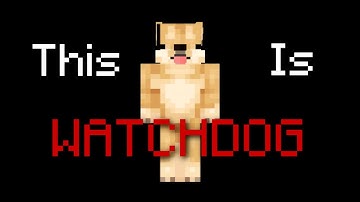 Proof That Hypixel Watchdog Hates Us