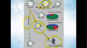 Case_Study_II_July_2014.flv